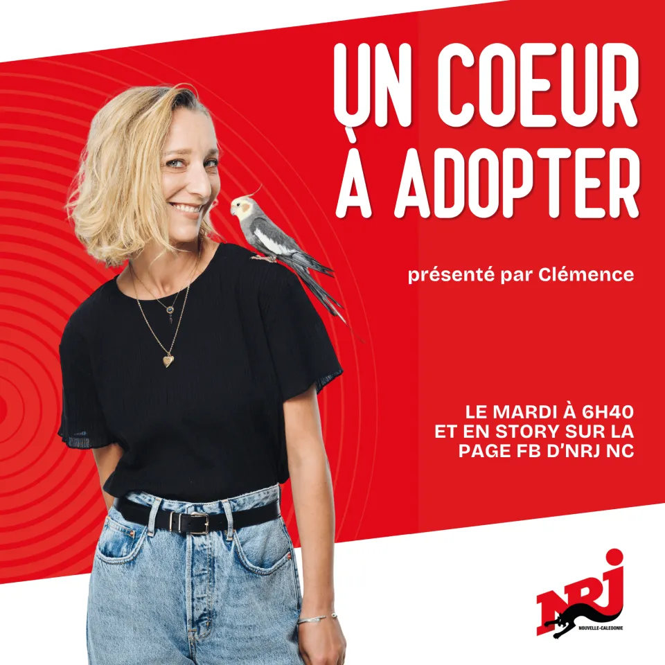 Un cœur à adopter